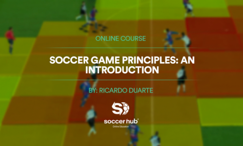 Soccer (Football) Game Principles: An Introduction