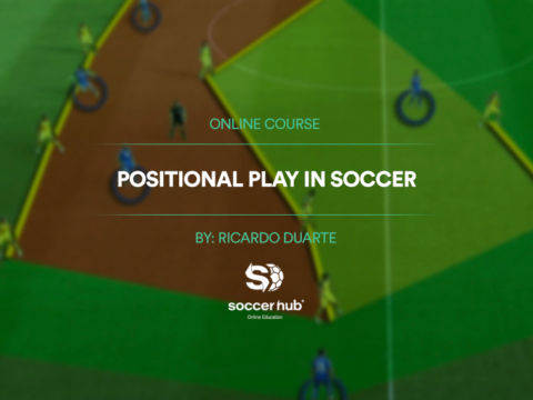 Positional Play in Soccer