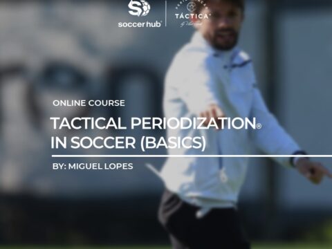 Tactical Periodization in Soccer (Basics)