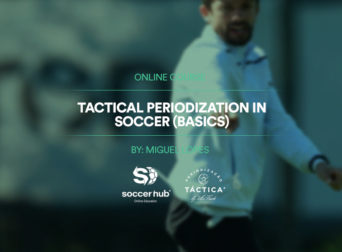 Tactical Periodization in Soccer (Football)(Basics)