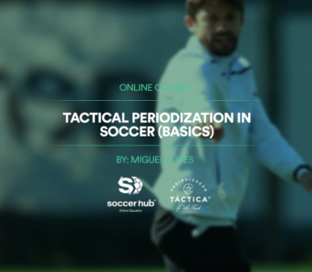 Tactical Periodization in Soccer (Basics)