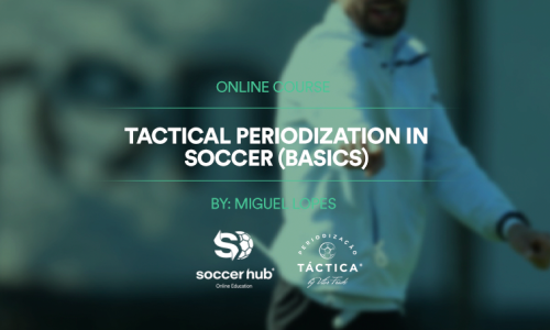 Tactical Periodization in Soccer (Football)(Basics)