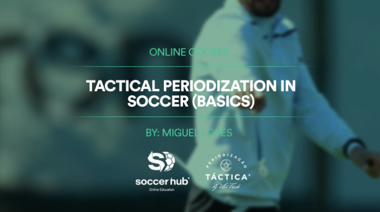TACTICAL PERIODIZATION IN SOCCER (BASICS) site