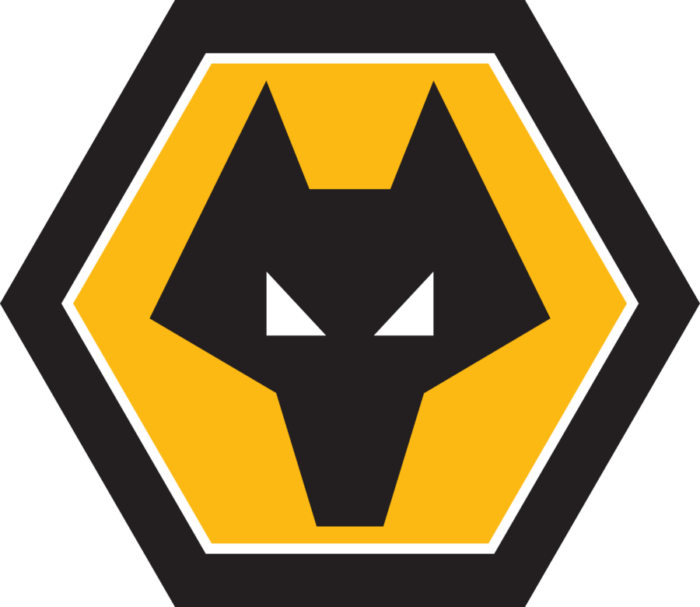 Academy Football Research and Methodology Analyst – Wolverhampton